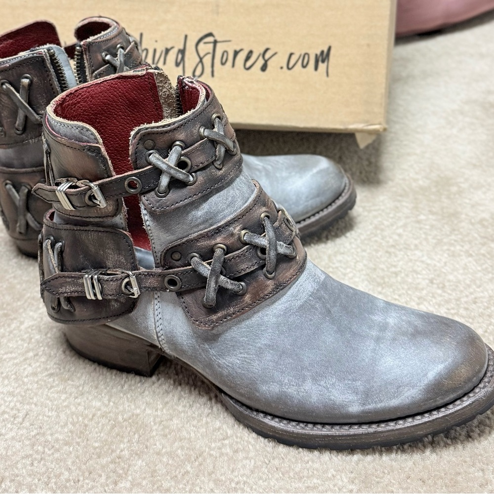 NEW DUBLIN Freebird by Steven Booties -